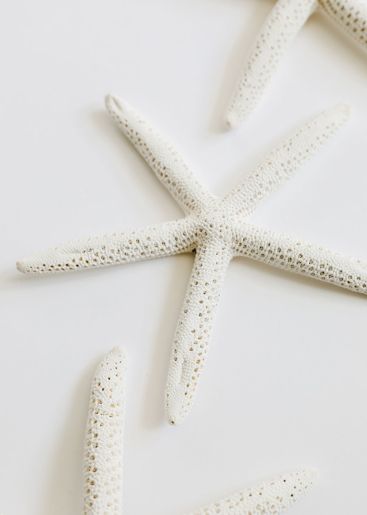 Starfish